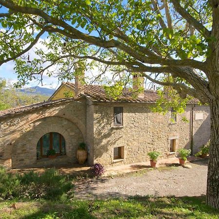 Agriturismo Corvaia Radicofani Bagian luar foto