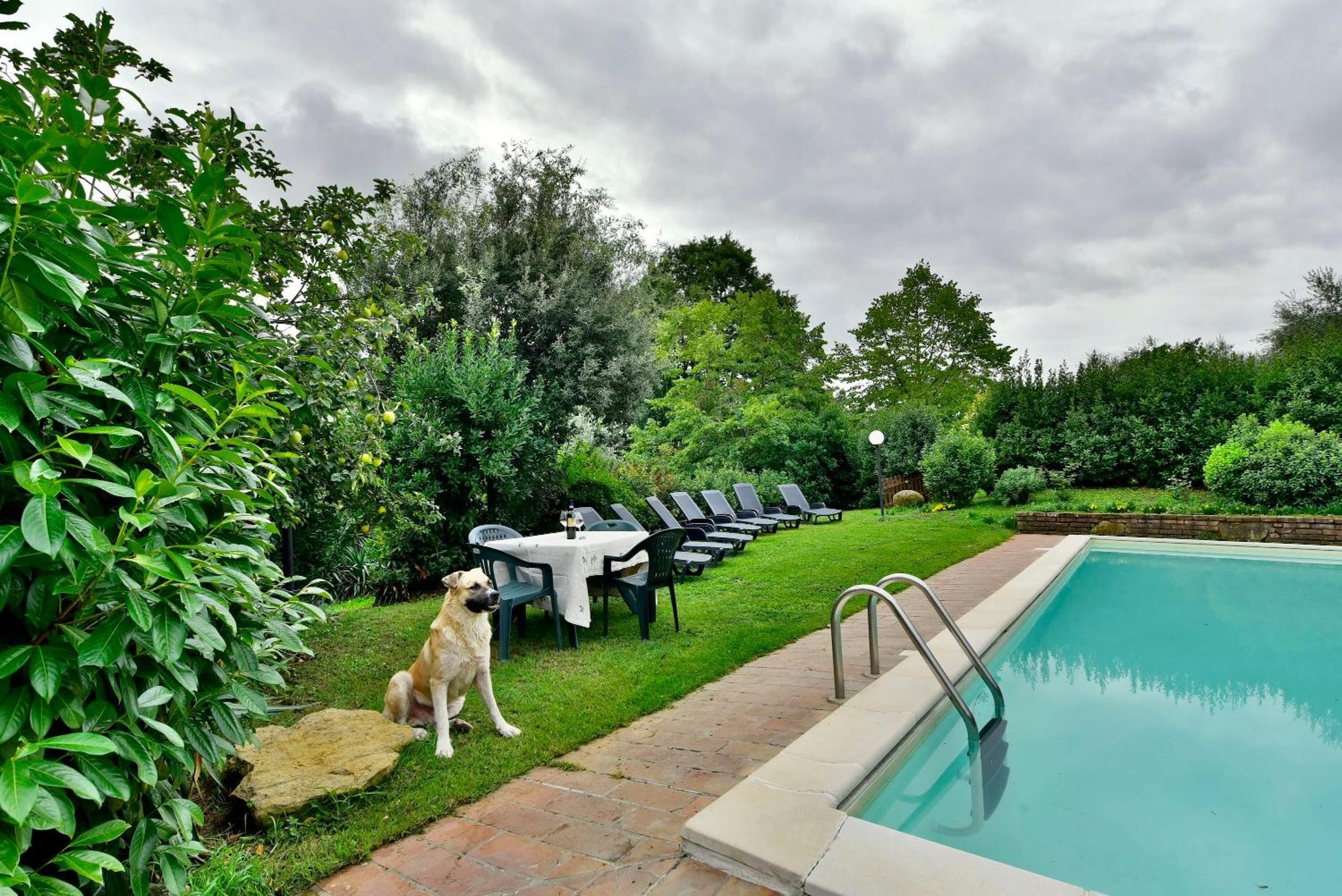 Agriturismo Corvaia Radicofani Bagian luar foto