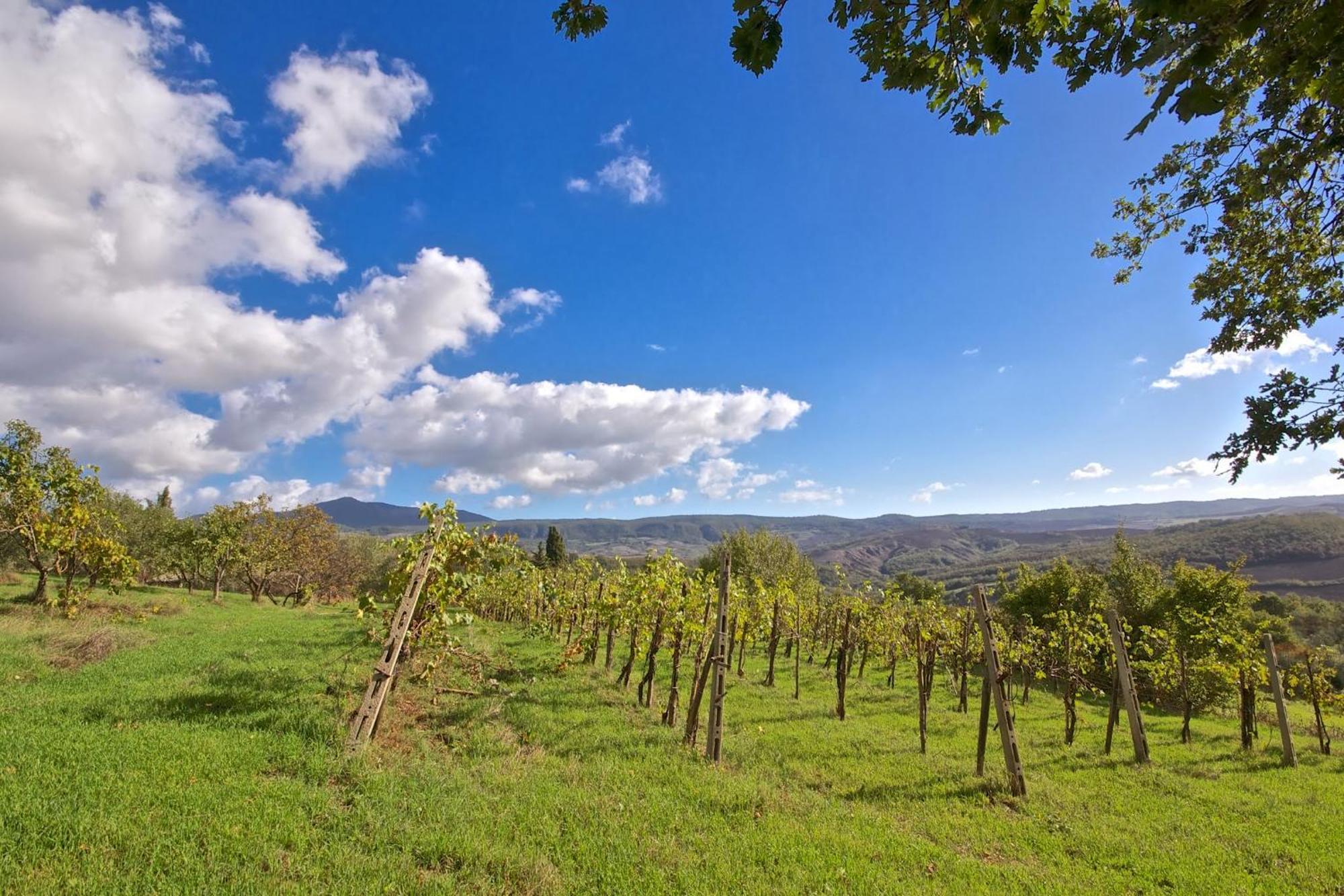 Agriturismo Corvaia Radicofani Bagian luar foto