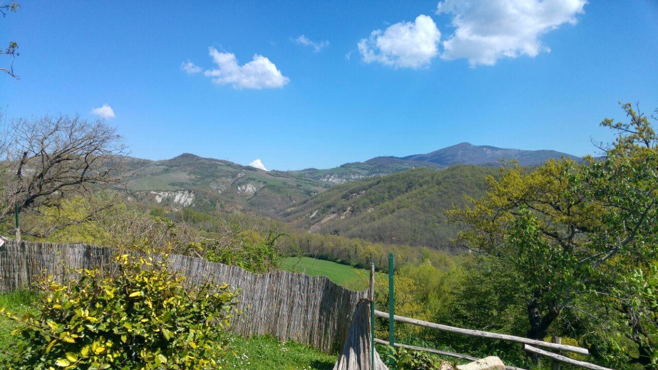 Agriturismo Corvaia Radicofani Bagian luar foto